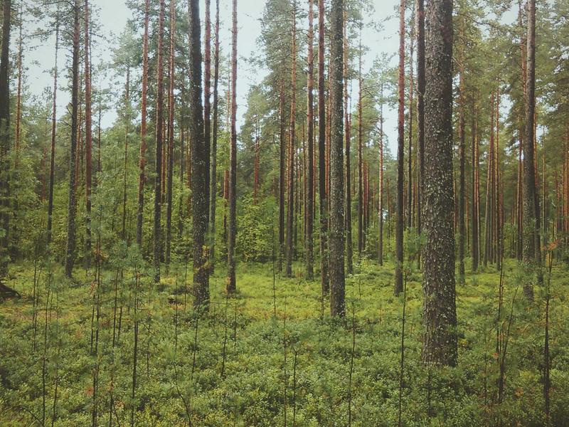 Curso Técnico em Engenharia 69e82eb5eb914