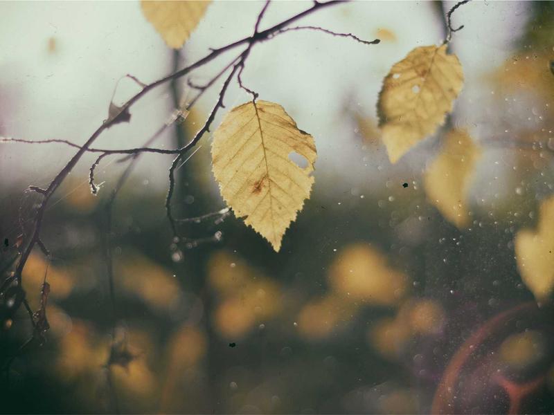 Curso Técnico em Tecnologia 69e82ebb5c604