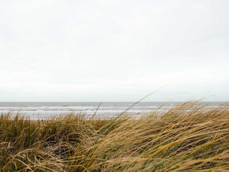 Curso Técnico em Ciências 69e82ebe2b891