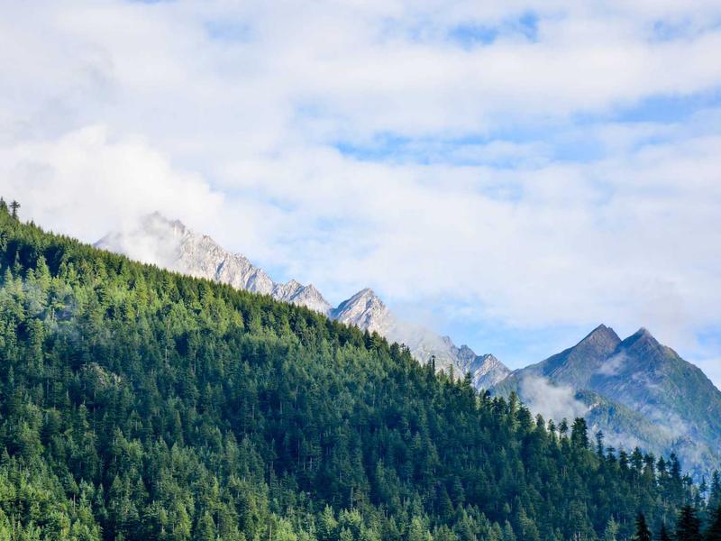 Curso Técnico em Ciências 69e82eea3fa42