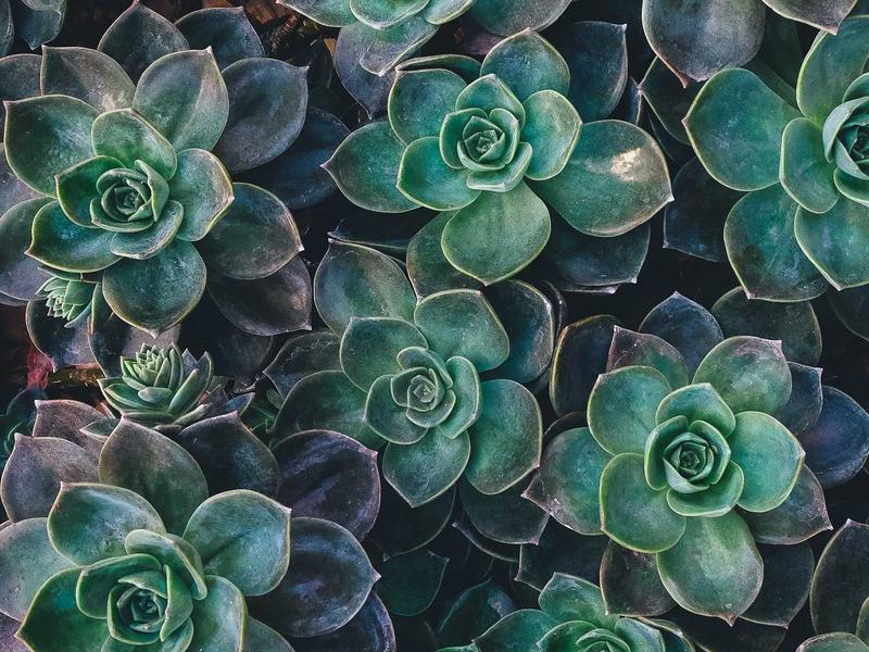 Curso Técnico em Tecnologia 69e82f1916a78