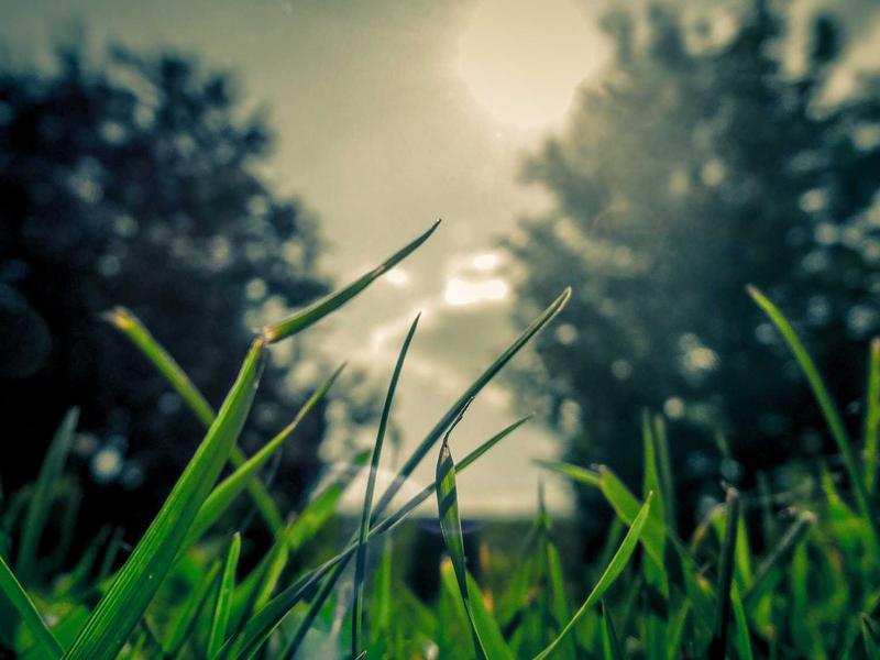 Laboratório de Comunicação