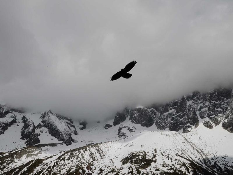 Laboratório de Artes