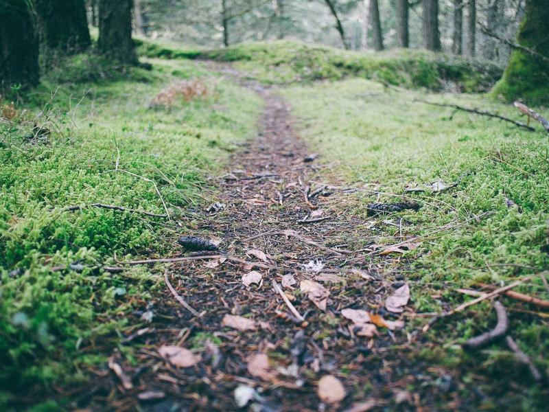 Laboratório de Saúde