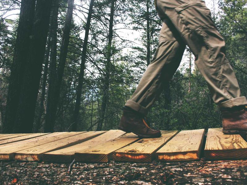 Laboratório de Ciências