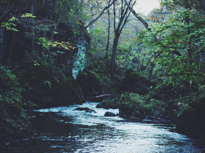 Laboratório de Tecnologia