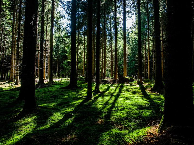 Laboratório de Educação