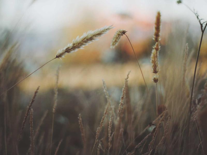 Laboratório de Educação