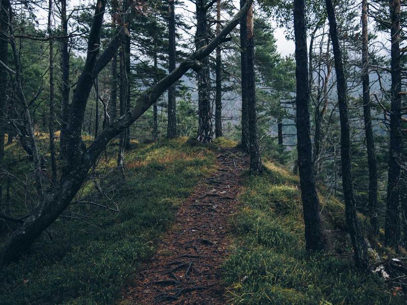 Laboratório de Educação
