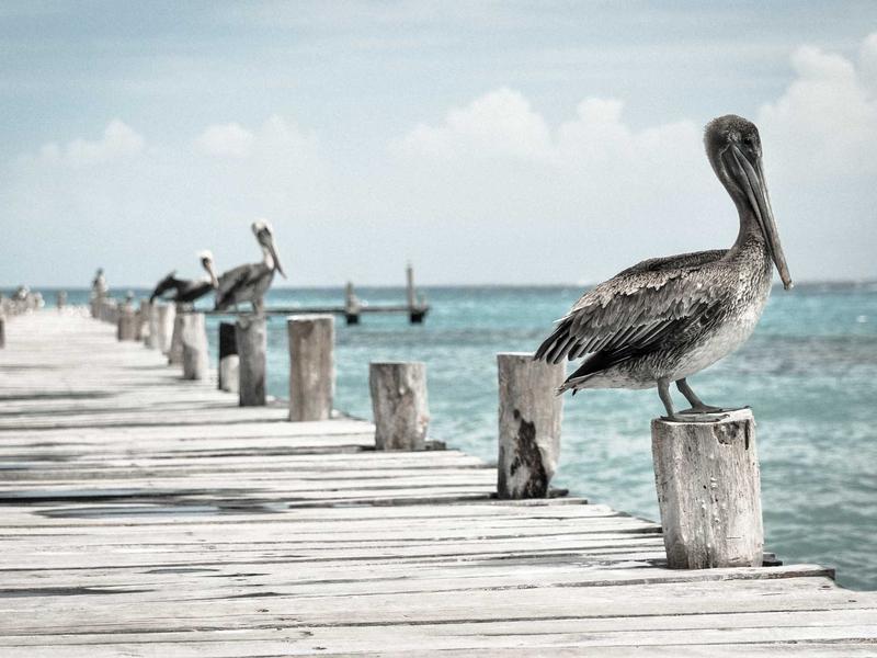 Laboratório de Educação