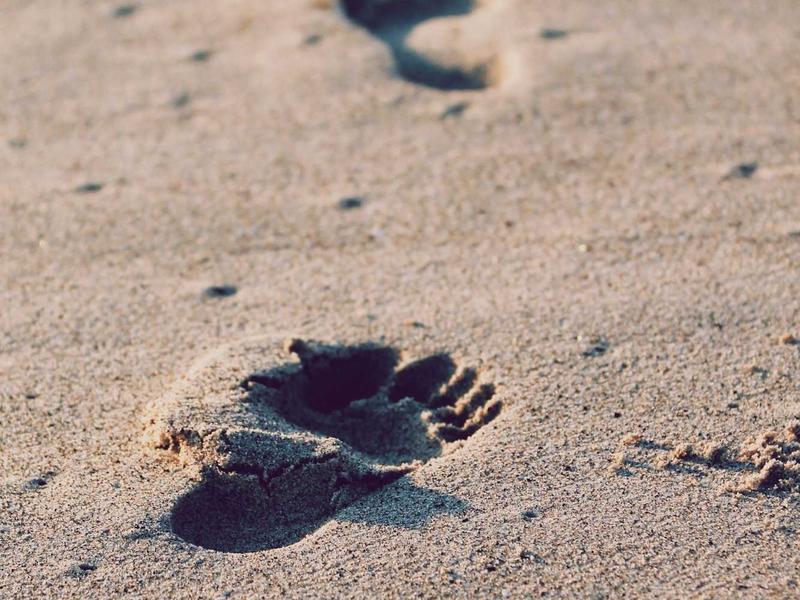 Laboratório de Design