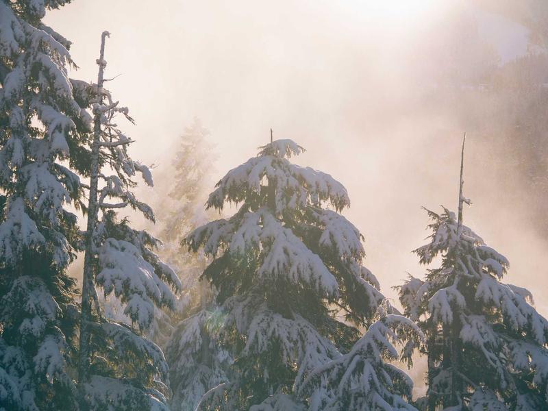 Laboratório de Engenharia