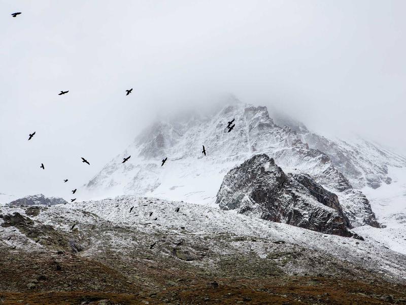Laboratório de Saúde