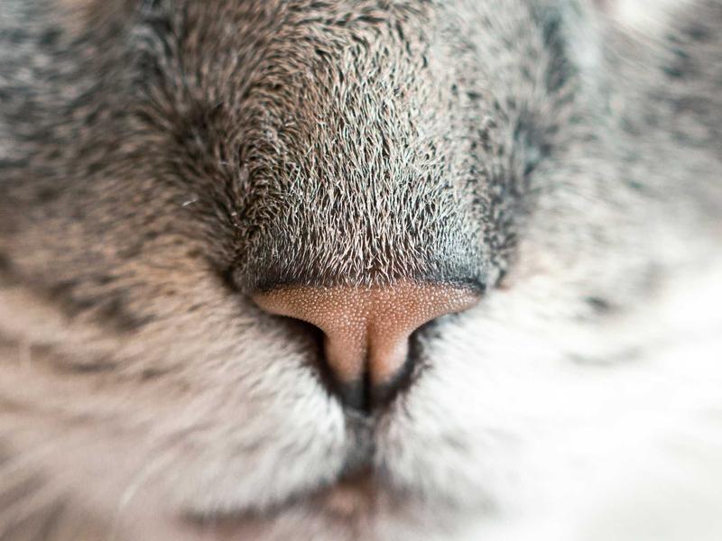 Inovação Educacional no CETEC 69e82e9faf2a8