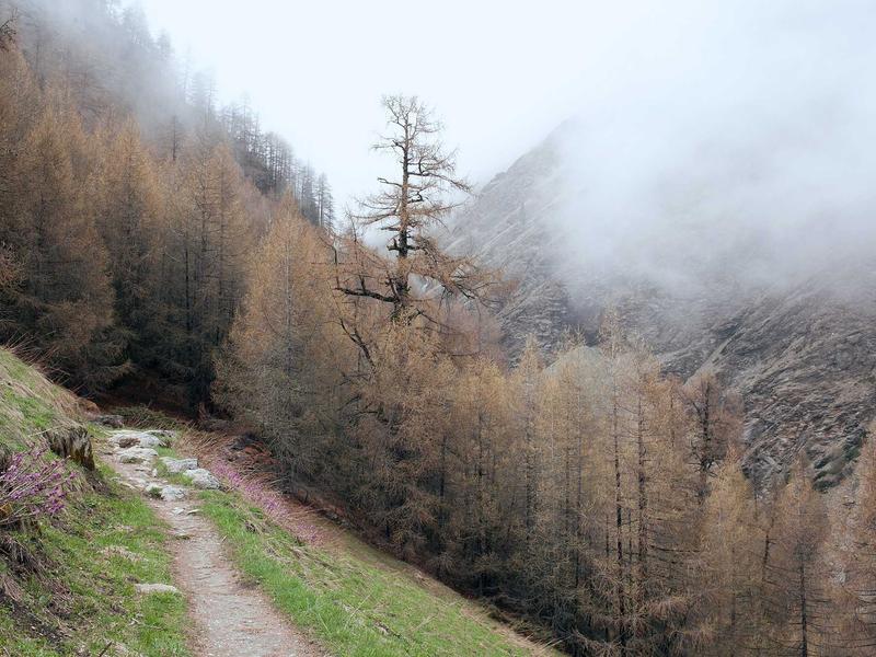 Inovação Educacional no CETEC 69e82ea48e2af