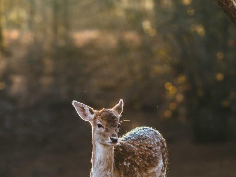 Tecnologia em Foco no CETEC 69e82eb1eadbc