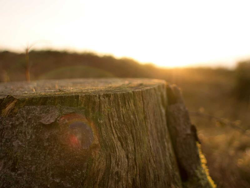 Laboratórios Modernos no CETEC 69e82efc50861